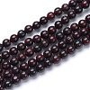 Natural Bloodstone Beads Strands G-R412-06-10MM-1