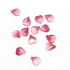 Handmade Lampwork Charms LAMP-WH0006-03-1
