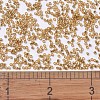MIYUKI Delica Beads SEED-X0054-DB1201-4