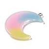 Gradient Color Translucent Resin Pendants FIND-Z006-03D-2