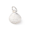 925 Sterling Silver Shell Shape Charms STER-D304-02S-1