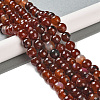 Natural Agate Beads Strands G-M437-B01-01K-2