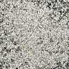 TOHO 11/0 Demi Round Beads X-SEED-DR11-PF21-3