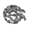 Raw Rough Natural Tanzanite Beads Strands G-D101-A12-3