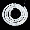 Natural Trochid Shell/Trochus Shell Beads Strands SSHEL-S266-016A-01-2