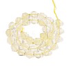 Natural Lemon Quartz(Heated) Beads Strands G-P534-A20-01-2