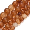 Natural Carnelian Beads Strands G-L642-G01-8mm-1