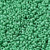 Baking Paint Glass Seed Beads SEED-P006-03A-23-3