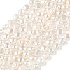 Natural Cultured Freshwater Pearl Beads Strands PEAR-C004-21E-2