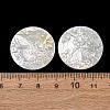 Natural White Shell Carved Cabochons SHEL-G024-01C-3