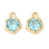 Brass Micro Pave Cubic Zirconia Charms KK-L208-10G-06-2