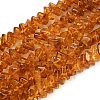 Natural Amber Beads Strands G-K376-C03-01-2
