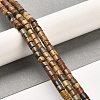 Natural Picasso Stone/Picasso Jasper Beads Strands G-F765-F02-01-2