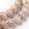 Round Natural Crazy Lace Agate Beaded Strands G-L374-01-12mm-1
