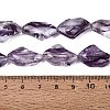 Handmade Lampwork Beads Strands LA-N046-02D-4