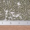 MIYUKI Delica Beads SEED-JP0008-DB1851F-4