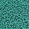 MIYUKI Round Rocailles Beads SEED-G007-RR5106-2