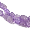 Natural Lavender Amethyst Beads Strands G-Q060-E16-4