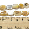 Natural Yellow Shell Beads Strands SSHEL-H072-08-4
