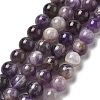 Round Natural Chevron Amethyst Bead Strands G-S380-01B-01-1