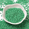 Baking Paint Glass Seed Beads SEED-P006-03A-23-2