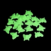 Luminous Opaque Acrylic Beads OACR-Z027-07-3