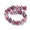 Electroplate Shell Pearl Beads Strands X-BSHE-O019-03G-2