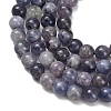 Natural Iolite Beads Strands G-G300-A04-6mm-4