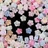Transparent Crackle Acrylic Beads OACR-B031-21-2
