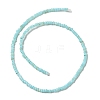 Natural Freshwater Shell Beads Strands SHEL-P017-01B-03-2