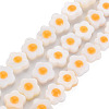 Natural Freshwater Shell Beads Strands with Enamel SHEL-T018-29A-2