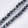 Natural Hawk's Eye Beads Strands G-S333-4mm-027-1