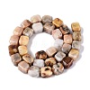 Natural Crazy Agate Beads Strands G-Q608-10B-3