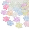 Transparent Crackle Acrylic Beads OACR-B031-05-1