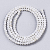 Natural Freshwater Shell Beads Strands X-BSHE-T009-01F-2