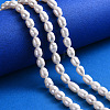 Natural Cultured Freshwater Pearl Beads Strands X-PEAR-N012-06D-5