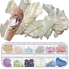 1 Set 12 Colors Shell Slices MRMJ-SP0001-05B-1