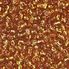 6/0 Glass Seed Beads SEED-A005-4mm-22B-2