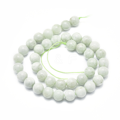 Natural Myanmar Jade/Burmese Jade Beads Strands G-D0001-09-10mm-1