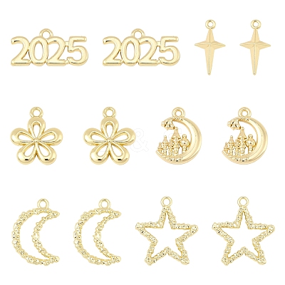 12Pcs 6 Styles Alloy Pendants FIND-FS0003-38G-1