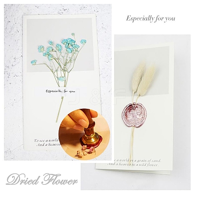 DIY Scrapbook AJEW-WH0100-417-1