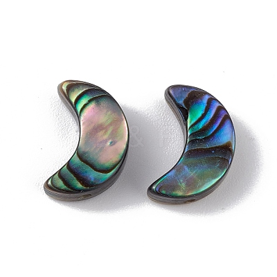 Natural Abalone Shell/Paua Shell Beads SSHEL-M021-05-1