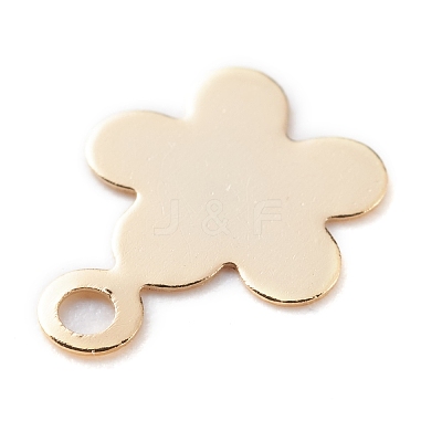 Brass Charms KK-Y003-34G-1