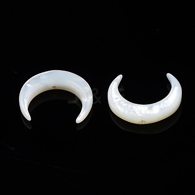 Natural White Shell Mother of Pearl Shell Beads X-SSHEL-T012-07-1