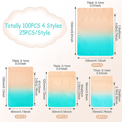 100Pcs 4 Styles PET Zipper Bags OPP-TA0001-19A-1