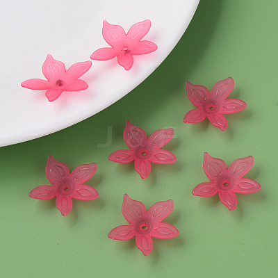 Transparent Acrylic Beads MACR-S373-127-D-1