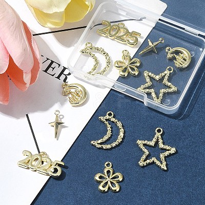 12Pcs 6 Styles Alloy Pendants FIND-FS0003-38G-1
