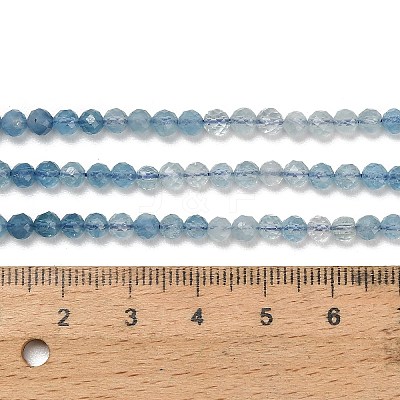 Gradient Color Natural Devil Blue Aquamarine Beads Strands G-NH0072-B01-4mm-1