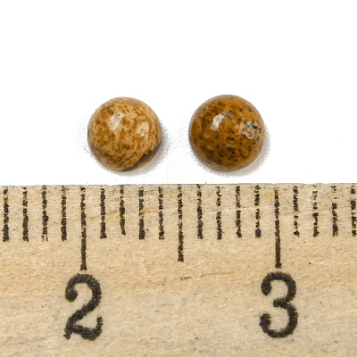 Natural Picture Jasper Cabochons G-H309-03-56-1