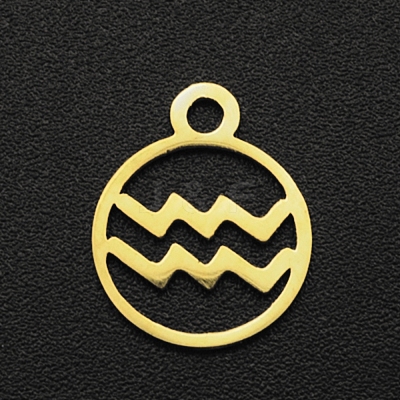 201 Stainless Steel Charms STAS-T014-LA111-11-1